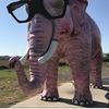 Pink Elephant Breweriana