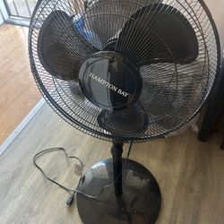 Cool Fan 