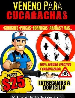 🥇 POLVO PARA CUCARACHAS 🥇