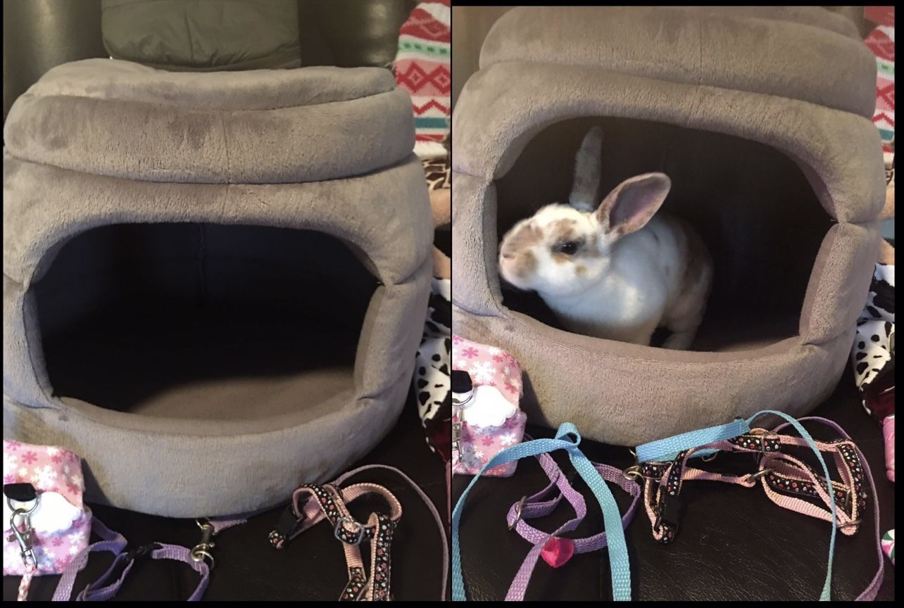 Beehive Bed For Pets