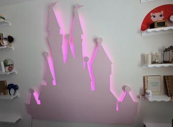 Custom Castle Disney 