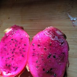 Dragon Fruit Cutting (Plants Available As Well)