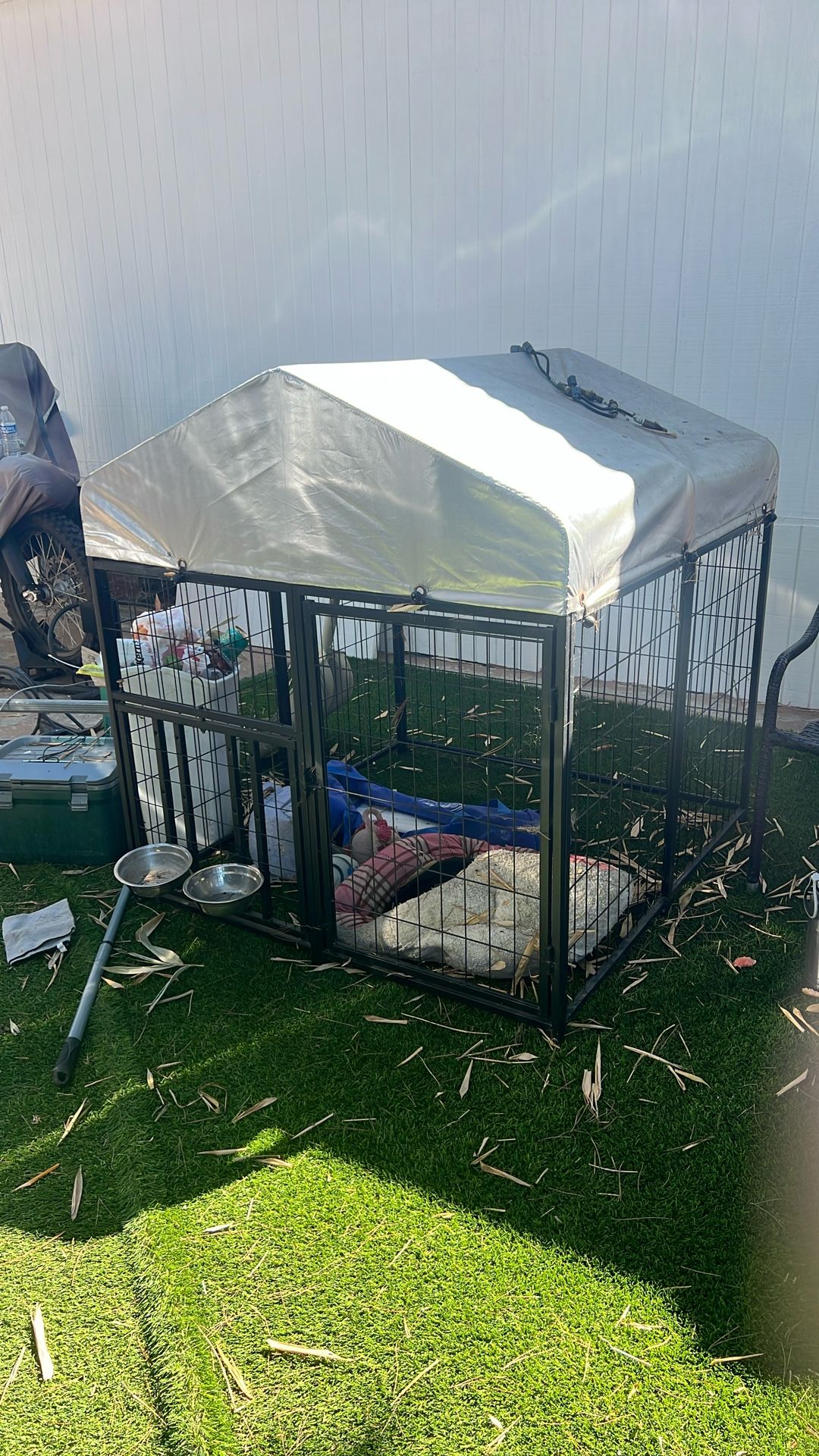 Dog Kennel