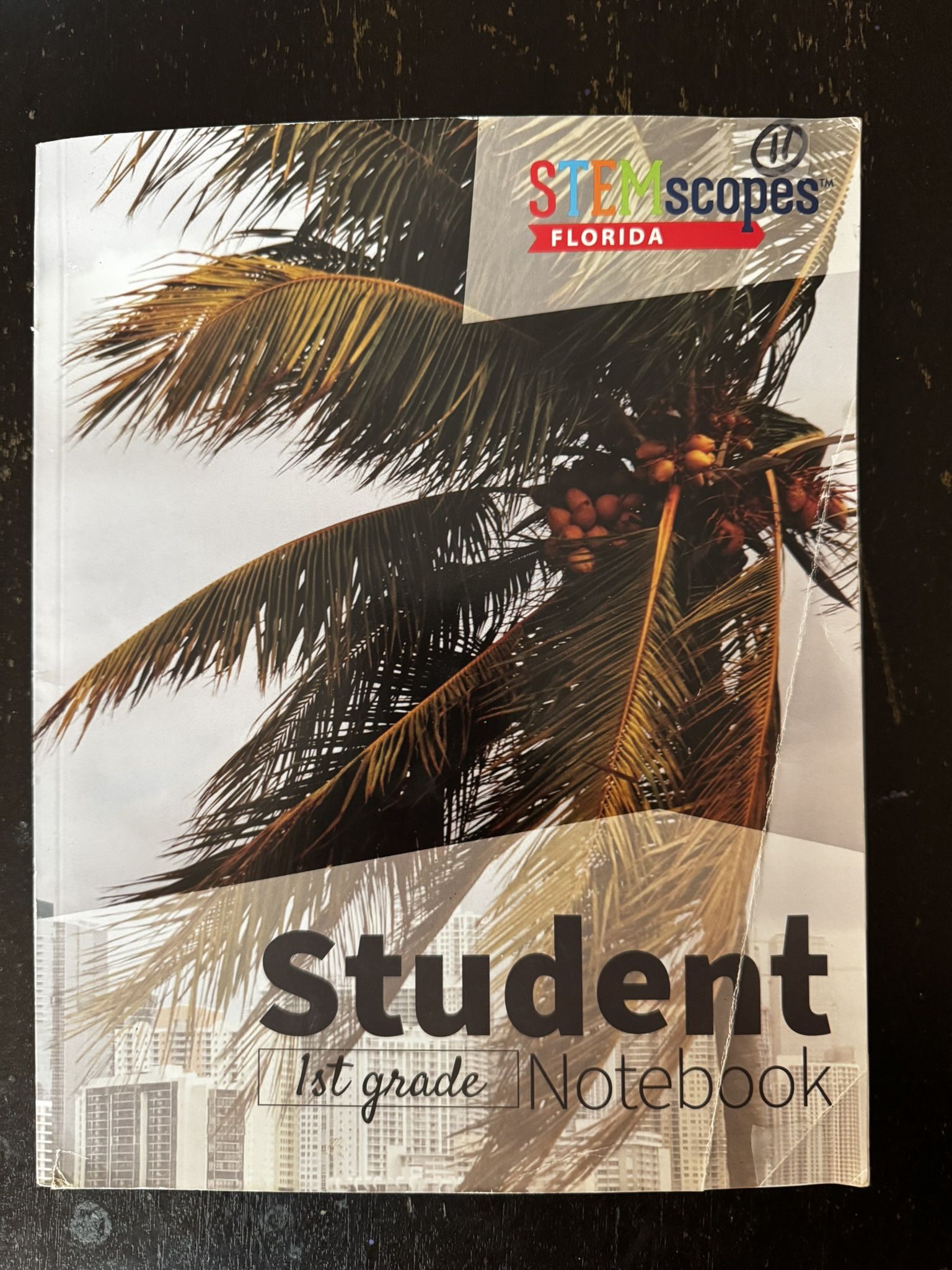 Stemscope 1st Grade Student Notebook