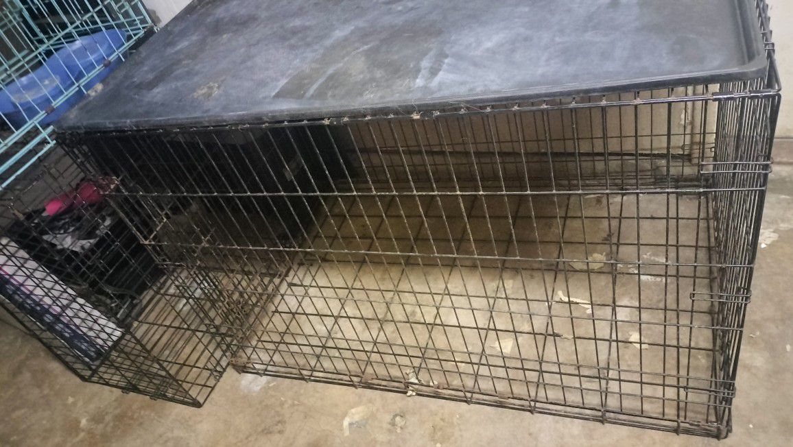 Xx Large Dog Crate  With Tray, Good Condition For Large Dogs !!