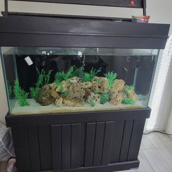 90 Gallon Aquarium 