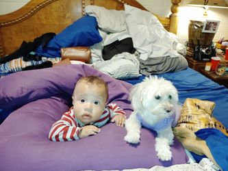 Urgent help needed the baby