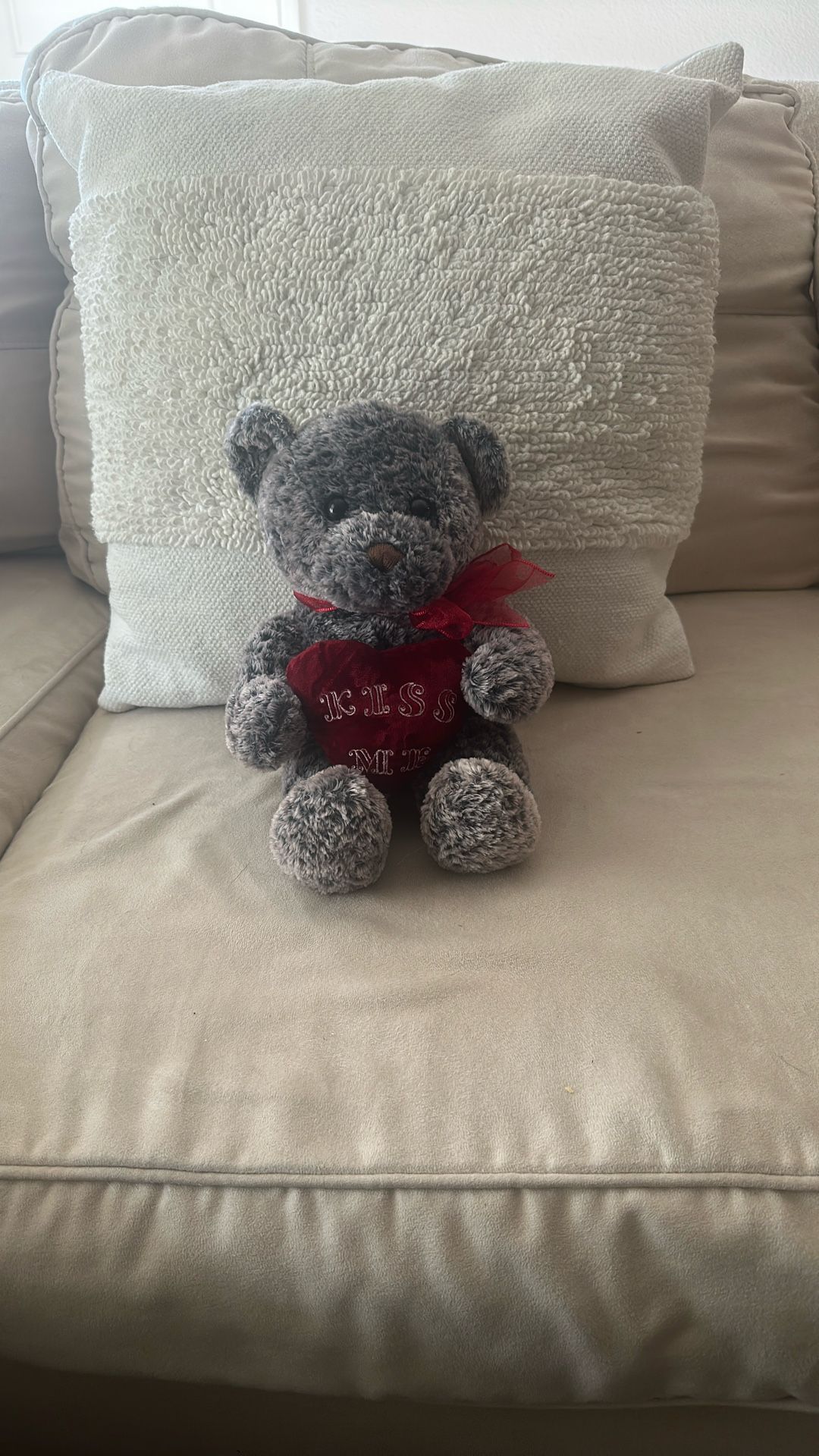Teddy Bear. Valentine’s Day