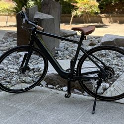 Voya E3 Giant E-bike