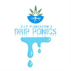 V.I.P Plantation's Drip Ponics System 