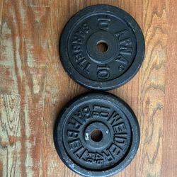 Two 10 Pound One Inch Plates