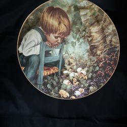 "Michael's Miracle" Plate Real People Series Stratford COA