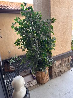 Artificial tree / Planf