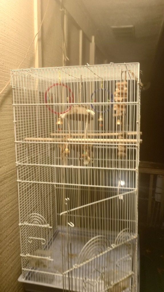 Bird Cage