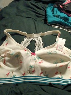 plus-size bralette featuring a pink flamingo and teal palm tree tropical pattern with a striped elastic underband.