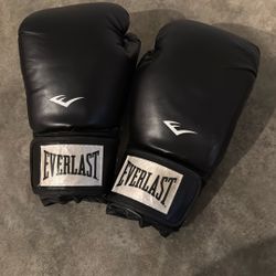 Everlast Gloves 16 OUNCE