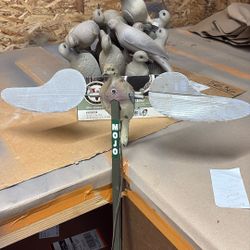 Dove Decoys/ Mojo Decoy