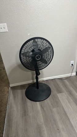 Black Pedestal Standing Fan