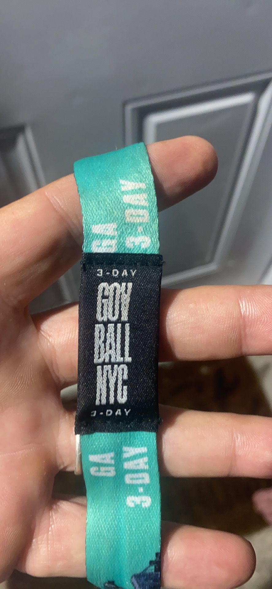 Governors Ball 3 Day Wrist Band Today And Tomorrow  Left 