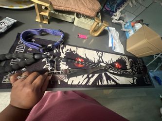 2 Leash One Large Dog Collard