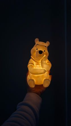 Winnie The Pooh Light 
