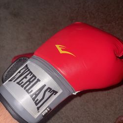 Everlast 14oz Boxing Gloves – Like New 🥊