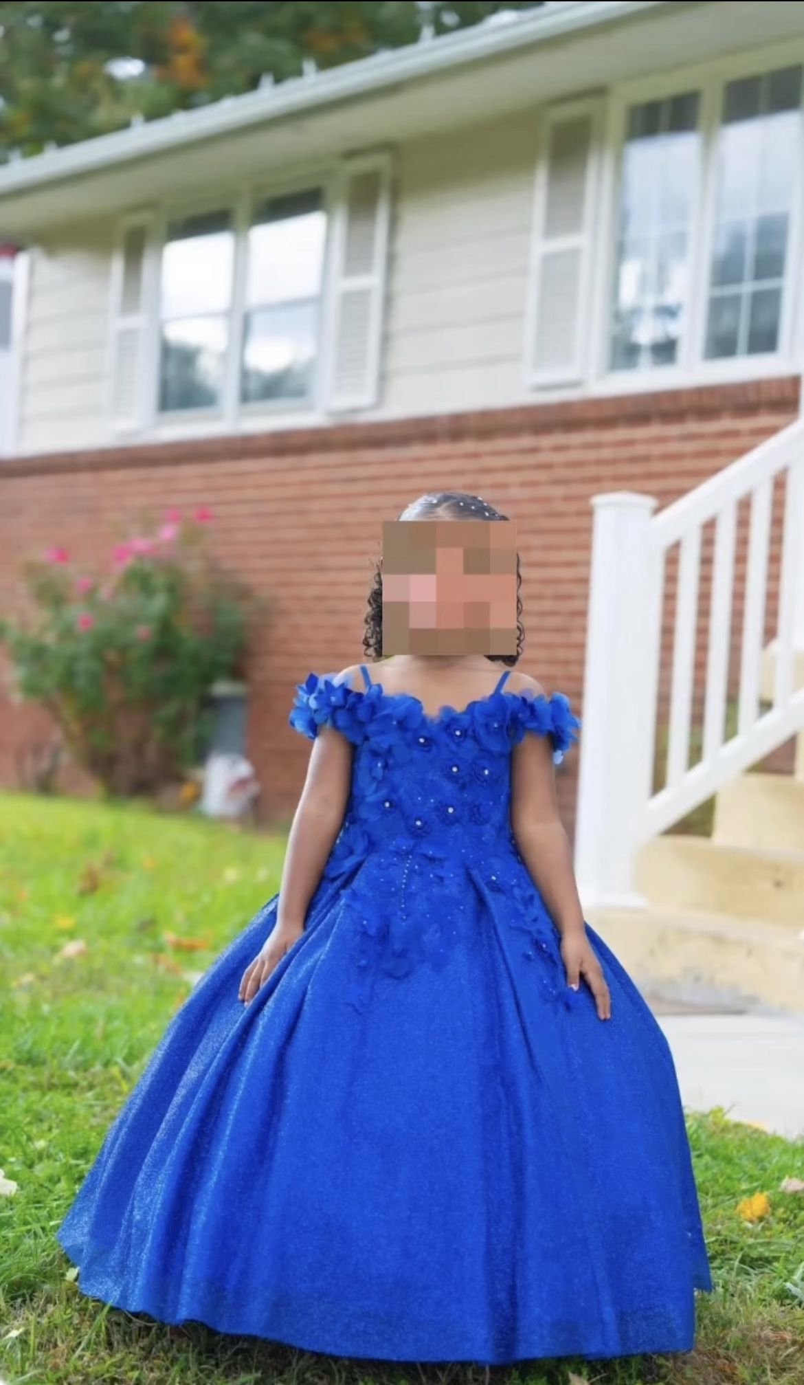 Royal Blue Mini Quinceañera Dress / Flower Girl Dress 
