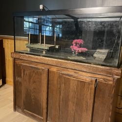 Fish Tank 