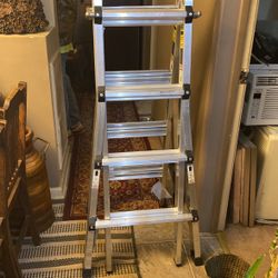 Ladder /Little Giant