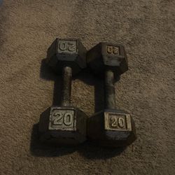 20lbs Weights 