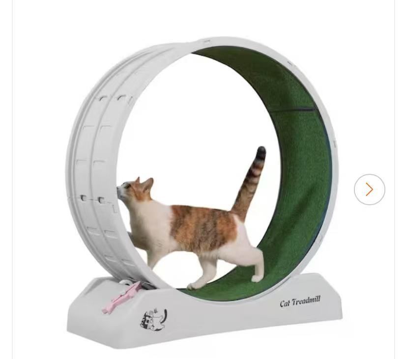Cat Treadmill Exercise Wheel Lockable, Large