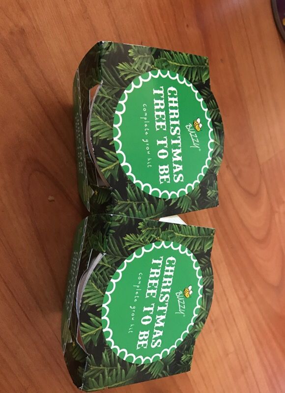 Xmas tree to be complete grow kit
