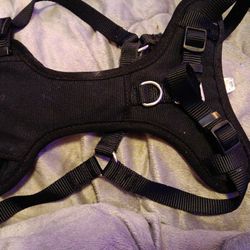 M Black Dog Harness