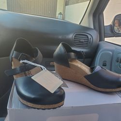 Black papillios GREAT FOR XMAS