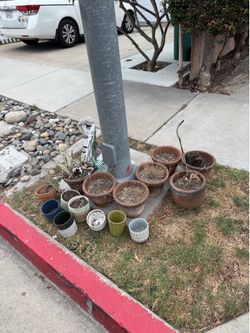 Free Flower Pots & Potting Soil