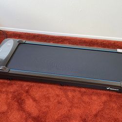 Treadmill & Walking. Pad