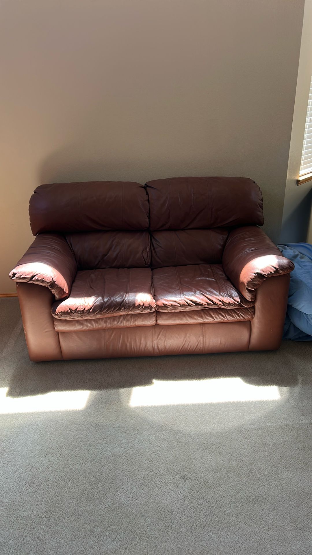 Sofa and chair leather
