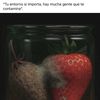 Lizbeth 