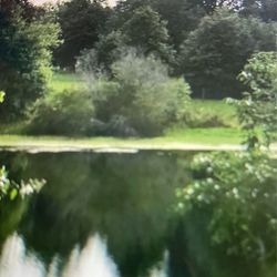 1.09 Acres  Gainesville Florida With Own Lake 