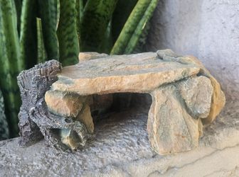 Reptile tank decor
