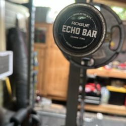 Rogue Echo Bar