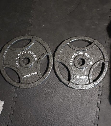 45's easy grip Olympic weights **** Read Ad