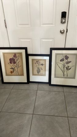 Vintage Botanical Art