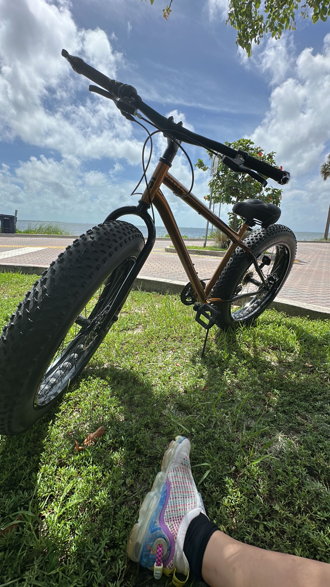 Argus ST 26in Fat Tire Mountain Bike