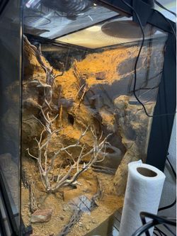 Exo Terra Pro TERRARIUM SMALL TALL 18x18x24 Desert Style set up READ DESCRIPTION