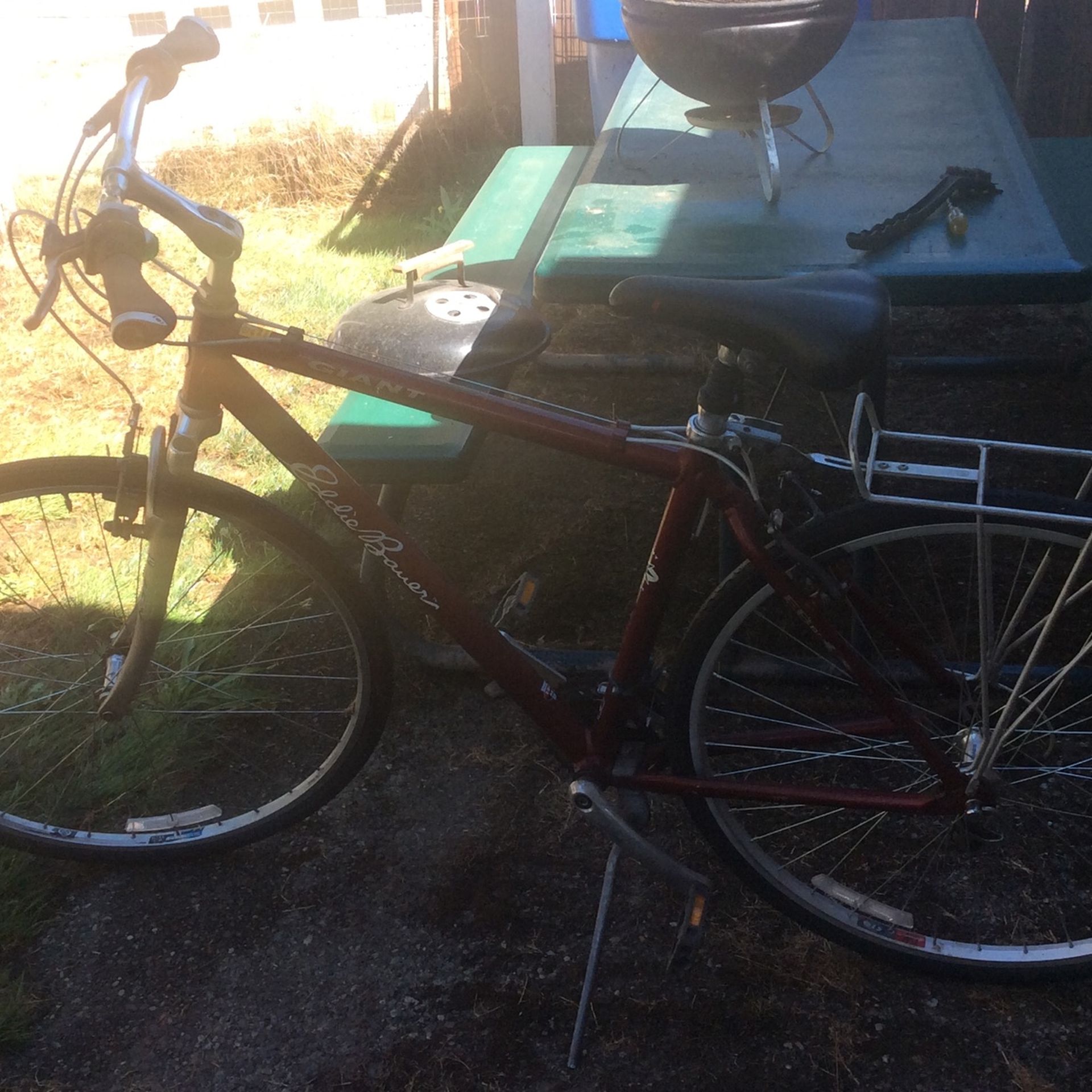 Giant Eddie Bauer 50