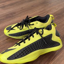 Anthony Edward's 1 Adidas