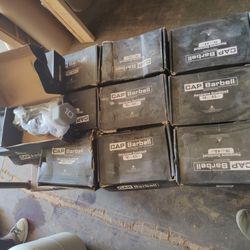 36 Box-CAP Barbell, 10lb Grey Neoprene Dumbbell, Pair