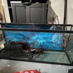55 Gallon Fish Tank and Stand