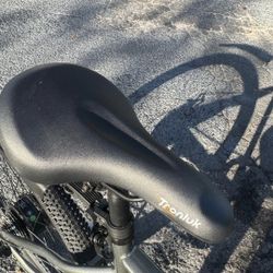 Tronluk Electric Bike 